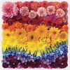 puzzle-sestavljanka-500-kosov-rainbow-flowes-bf61430-slika