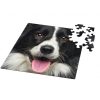 puzzle-sestavljanka-curiosi-q-animal-5-komplet-cuq45